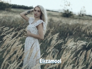 Elizamool