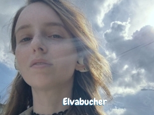 Elvabucher