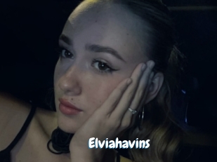 Elviahavins