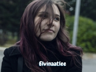 Elvinaatlee