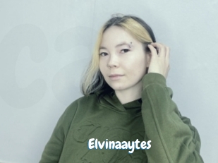 Elvinaaytes