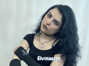 Elvinaesse