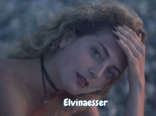 Elvinaesser