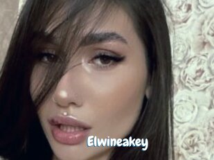 Elwineakey