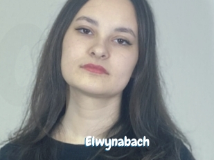 Elwynabach