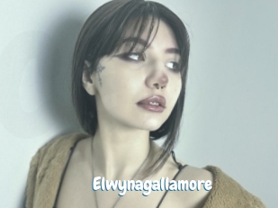 Elwynagallamore