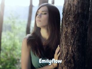 Emilyflow