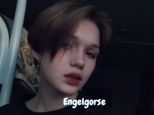 Engelgorse