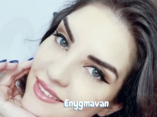 Enygmavan