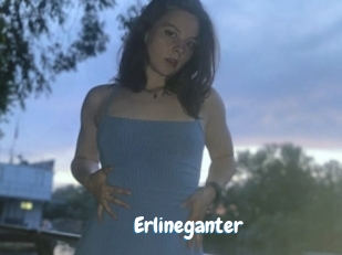 Erlineganter