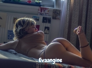 Evaangine