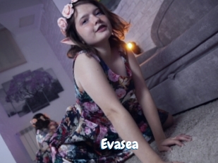 Evasea