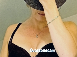 Evastonecam