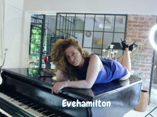 Evehamilton