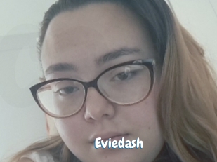 Eviedash