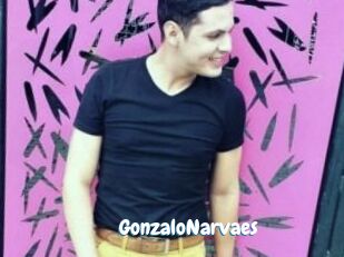 GonzaloNarvaes
