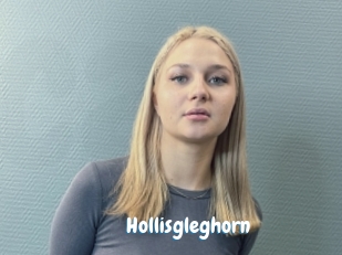 Hollisgleghorn