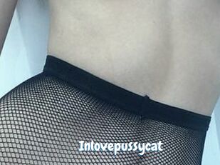 In_love_pussycat