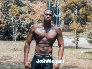 JoshMegans