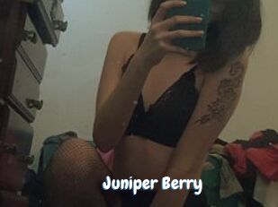 Juniper_Berry