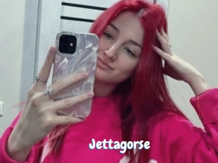 Jettagorse