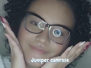 Juniper_camrose