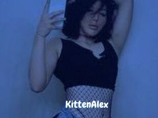 KittenAlex