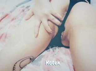 Kotek