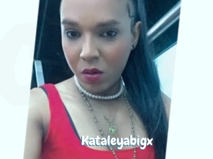 Kataleyabigx