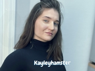 Kayleyhamster