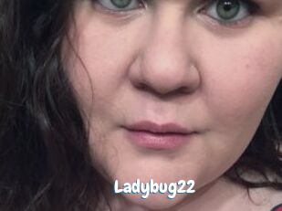 Ladybug22