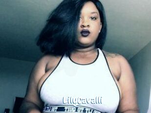 Lily_Cavalli