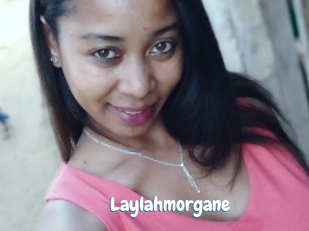 Laylahmorgane