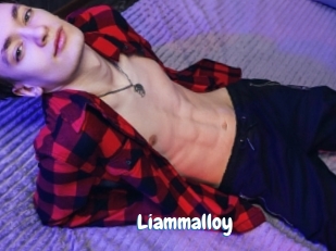Liammalloy