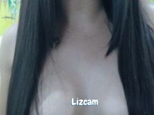 Lizcam