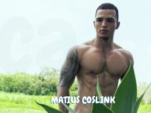 MATIUS_COSLINK