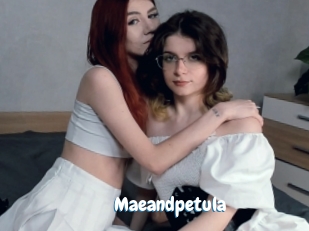 Maeandpetula