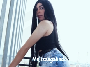 Melizzagalindo