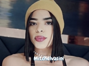 Mitchelvasini