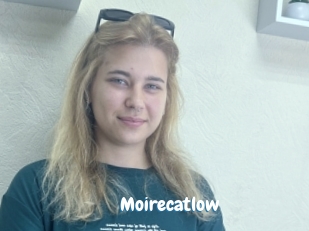 Moirecatlow