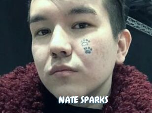 NATE_SPARKS