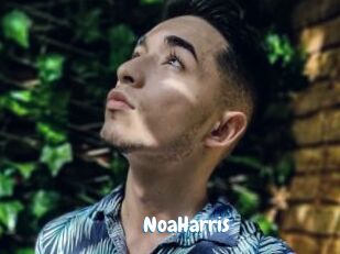 NoaHarris