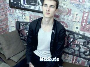 Nedcute