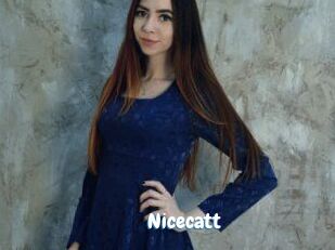 Nicecatt