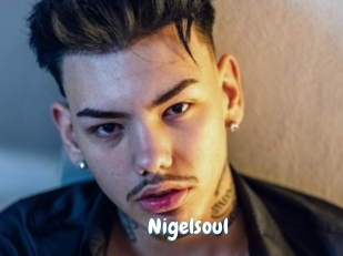 Nigelsoul