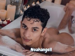 Noahangell