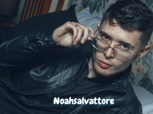 Noahsalvattore