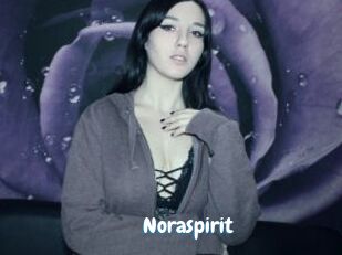 Noraspirit