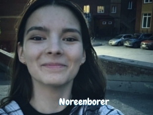 Noreenborer