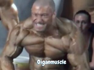 Oigan_muscle